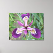 Toile violet Iris (Recto)