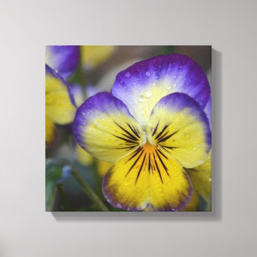 Toile violette et jaune enveloppée (Recto)