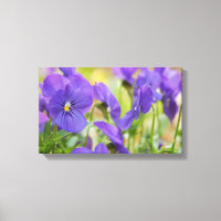 Toile violette Pansy