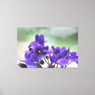 Toile Violettes violettes
