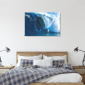Toile Visage de requin (Insitu(Chambre))