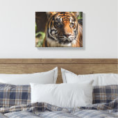 Toile visage de tigre (Insitu(Chambre))