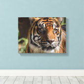 Toile visage de tigre (Insitu (Plancher de Bois))