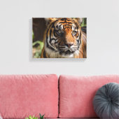 Toile visage de tigre (Insitu(Salon))