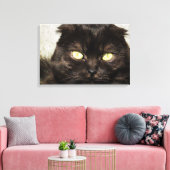 Toile Visage D'Un Jeune Chaton Munchkin (Insitu(Salon))