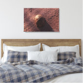 Toile Vitesse (Insitu(Chambre))