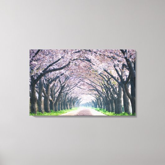 Toile Voie Cherry Blossom (Recto)