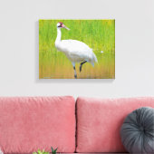 Toile Voie de grue blanche dans le marais (Insitu(Salon))