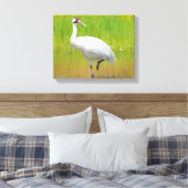 Toile Voie de grue blanche dans le marais (Insitu(Chambre))