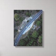 voiture sur route en forêt