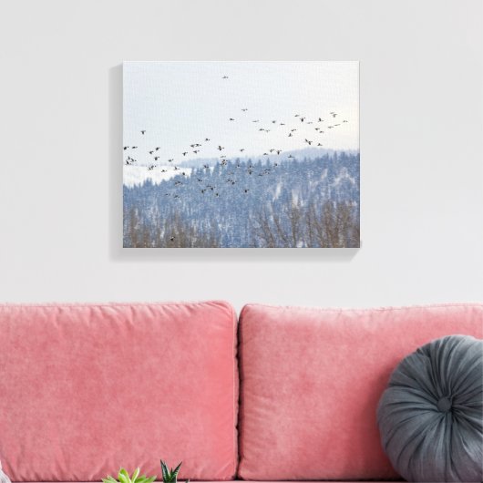 Toile Vol Goldeneye (Insitu(Salon))