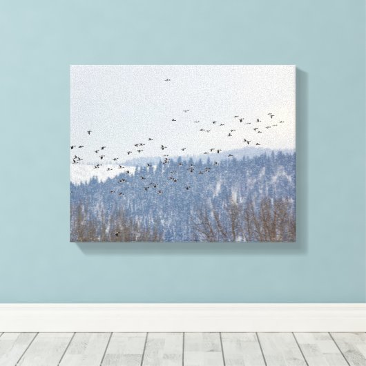 Toile Vol Goldeneye (Insitu (Plancher de Bois))