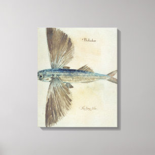 Toile Vol-Poisson