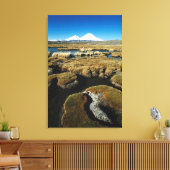 Toile Volcans Payachalas (Insitu(Salon))