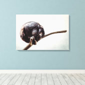 Toile Vous Manquez Seul Singe De Chimpanzé Urbain (Insitu (Plancher de Bois))