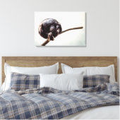 Toile Vous Manquez Seul Singe De Chimpanzé Urbain (Insitu(Chambre))