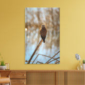 Toile Vous me regardez ? (Insitu(Salon))