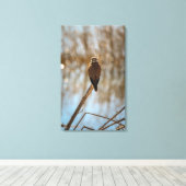 Toile Vous me regardez ? (Insitu (Plancher de Bois))