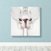 Toile Vue 3D Du Système De Reproduction Féminin (Insitu (Plancher de Bois))