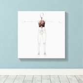 Toile Vue 3D Du Système Respiratoire Féminin (Insitu (Plancher de Bois))