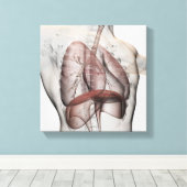 Toile Vue 3D Du Système Respiratoire Homme (Insitu (Plancher de Bois))