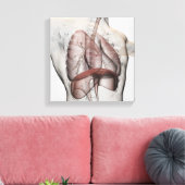 Toile Vue 3D Du Système Respiratoire Homme (Insitu(Salon))