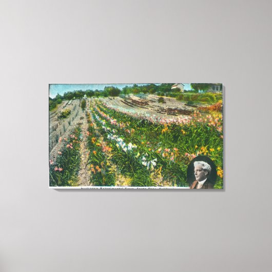 Toile Vue aérienne de Burbanks Ferme expérimentale (Recto)