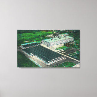 Toile Vue aérienne de Goodyear-Zeppelin Fabrication