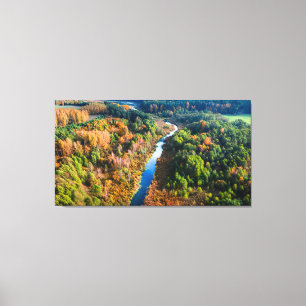 Toile Vue aérienne de la rivière et de la forêt colorée