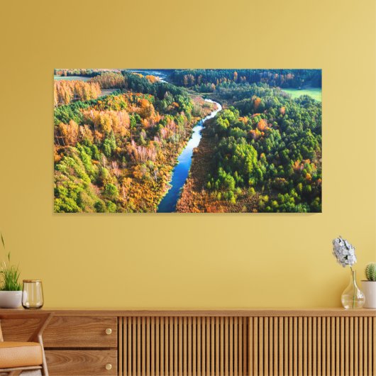 Toile Vue aérienne de la rivière Winny Forêt ensoleillée (Insitu(Salon))