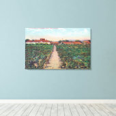 Toile Vue aérienne des vignobles et caves à vin (Insitu (Plancher de Bois))