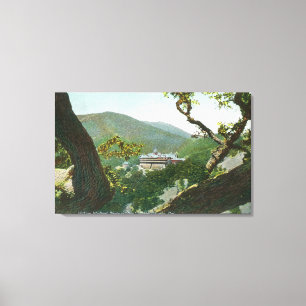 Toile Vue aérienne d'hôtel Médicale de ressorts de