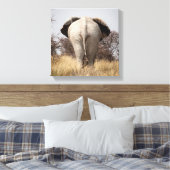 Toile Vue arrière de l'éléphant (Insitu(Chambre))