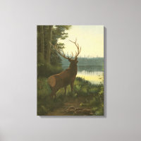 Vue arrière du lac Elk Vue sur un lac