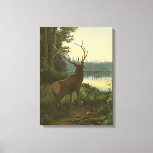 Toile Vue arrière du lac Elk Vue sur un lac