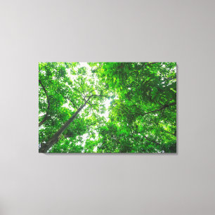 Toile Vue ascendante d'arbres