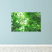 Toile Vue ascendante d'arbres (Insitu (Plancher de Bois))