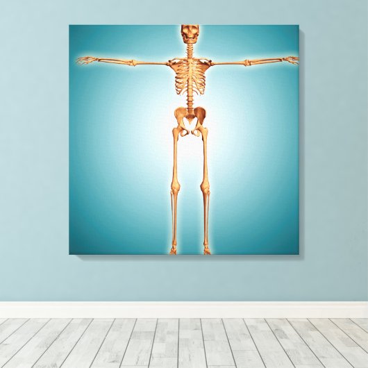 Toile Vue Avant Du Système Skeletal Humain (Insitu (Plancher de Bois))