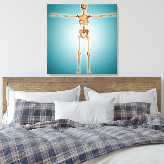 Toile Vue Avant Du Système Skeletal Humain (Insitu(Chambre))