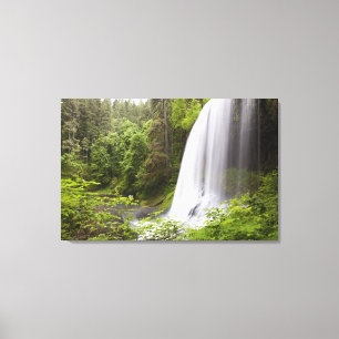 Toile Vue brouillée de cascade et de forêt en Orégon