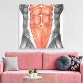 Toile Vue Complète Des Muscles Abdominaux Hommes (Insitu(Salon))