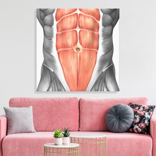 Toile Vue Complète Des Muscles Abdominaux Hommes (Insitu(Salon))