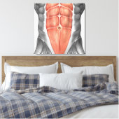 Toile Vue Complète Des Muscles Abdominaux Hommes (Insitu(Chambre))