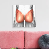 Toile Vue Complète Des Muscles Gluteaux Humains (Insitu(Salon))