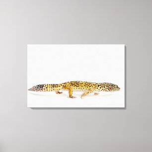 Toile Vue de côté de lézard de gecko de léopard