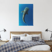 Toile Vue de dessus d'un requin baleine (Insitu(Chambre))