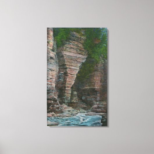 Toile Vue de la tête de l'éléphant (Recto)