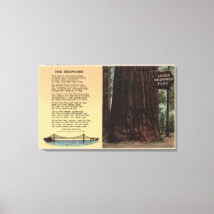 Toile Vue de Lanes Redwood Flat