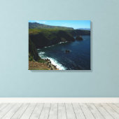 Toile Vue de l'île Père Noël Cruz dans les îles Channel (Insitu (Plancher de Bois))