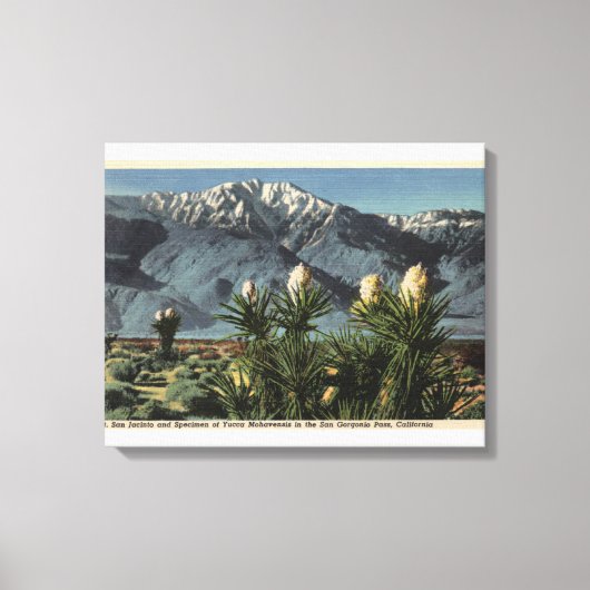 Toile Vue du mont San Jacinto, Yucca Mohavensis (Recto)